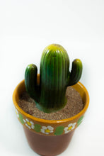 Load image into Gallery viewer, Decorative Clay Cactus
